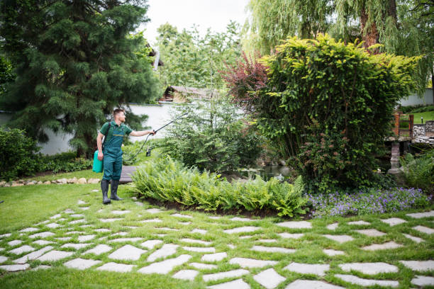 Best Pest Prevention Services  in Snead, AL