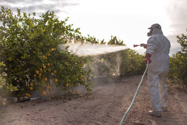 Flea Control Services in Snead, AL