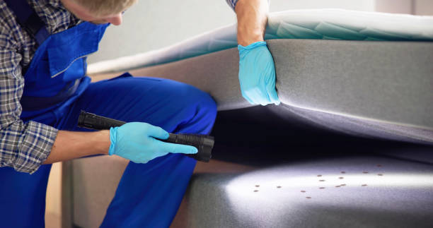 Professional Pest Control in Snead, AL