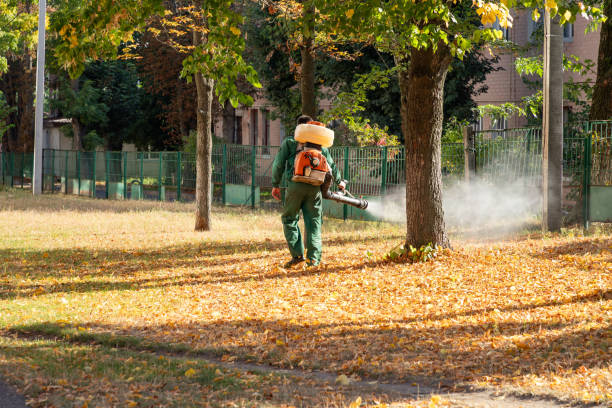 Insect Control in Snead, AL
